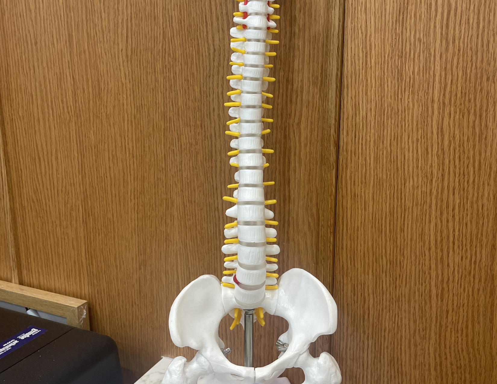 Inside RehabOne Plus Thornhill clinic